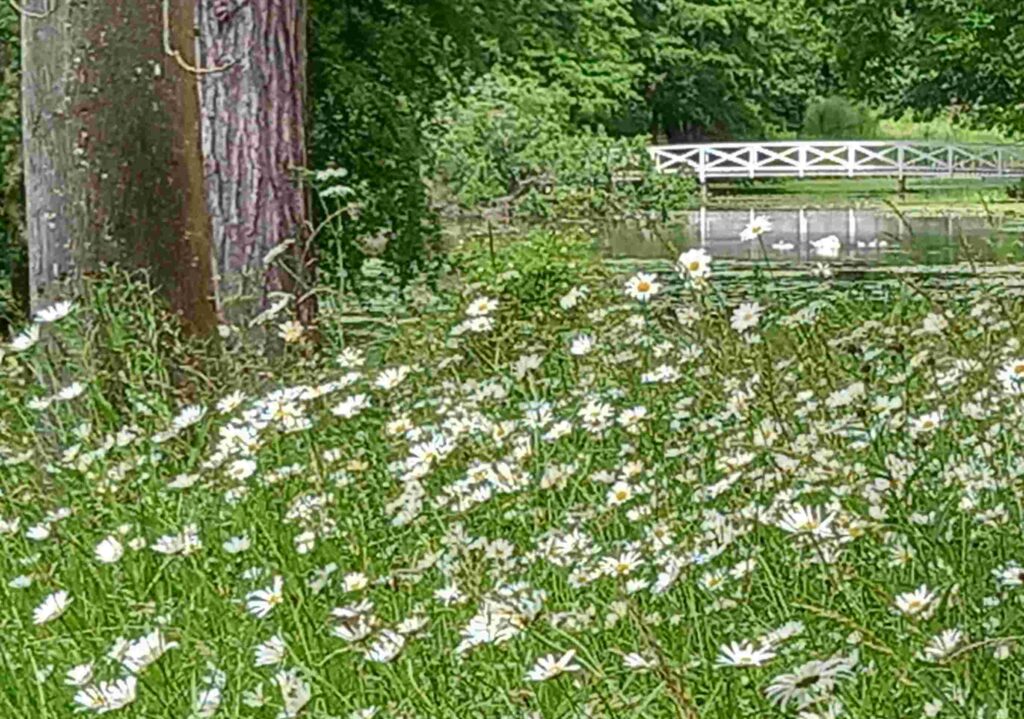 counryside compressed