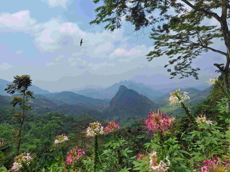 ha giang loop view
