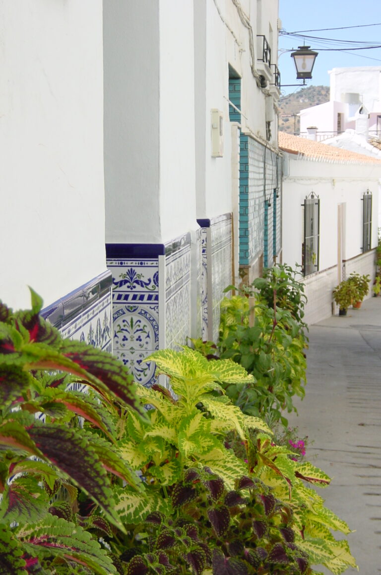 sayalonga house